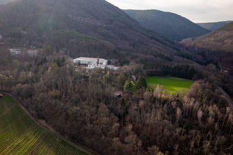 Vue aérienne de École de sport Edenkoben et Association de football du sud-ouest de l'Allemagne eV à Edenkoben dans le département Rhénanie-Palatinat, Allemagne
