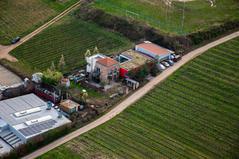 Vue aérienne de Au Schlossberg à Burrweiler dans le département Rhénanie-Palatinat, Allemagne