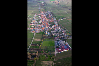 Vue aérienne de De l'ouest à Roschbach dans le département Rhénanie-Palatinat, Allemagne