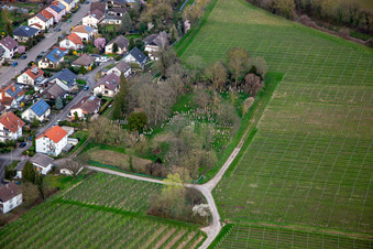Vue aérienne de Cimetière juif Ingenheim à le quartier Ingenheim in Billigheim-Ingenheim dans le département Rhénanie-Palatinat, Allemagne