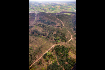 Vue aérienne de Nouvelle construction du tronçon de 51 km du gazoduc transeuropéen de gaz naturel (TENP-I entre les Pays-Bas et la Suisse) entre Mittelbrunn et Klingenmünster à Klingenmünster dans le département Rhénanie-Palatinat, Allemagne