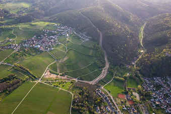 Vue aérienne de Un corridor à travers la forêt du Palatinat pour la reconstruction du tronçon de 51 km du gazoduc transeuropéen (TENP-III des Pays-Bas vers la Suisse) entre Mittelbrunn et Klingenmünster à le quartier Gleiszellen in Gleiszellen-Gleishorbach dans le département Rhénanie-Palatinat, Allemagne