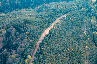 Vue aérienne de Un corridor à travers la forêt du Palatinat pour la reconstruction du tronçon de 51 km du gazoduc transeuropéen (TENP-III des Pays-Bas vers la Suisse) entre Mittelbrunn et Klingenmünster à Klingenmünster dans le département Rhénanie-Palatinat, Allemagne