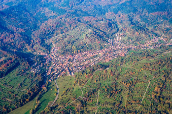 Vue aérienne de Champs agricoles avec des arbres fruitiers aux feuilles d'automne à le quartier Michelbach in Gaggenau dans le département Bade-Wurtemberg, Allemagne
