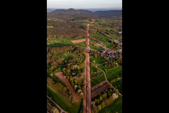 Vue oblique de Un corridor à travers la forêt du Palatinat pour la reconstruction du tronçon de 51 km du gazoduc transeuropéen (TENP-III des Pays-Bas vers la Suisse) entre Mittelbrunn et Klingenmünster à le quartier Gossersweiler in Gossersweiler-Stein dans le département Rhénanie-Palatinat, Allemagne
