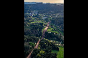 Vue aérienne de Un corridor à travers la forêt du Palatinat pour la reconstruction du tronçon de 51 km du gazoduc transeuropéen (TENP-III des Pays-Bas vers la Suisse) entre Mittelbrunn et Klingenmünster à Schwanheim dans le département Rhénanie-Palatinat, Allemagne