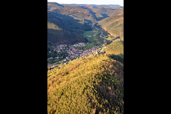 Vue aérienne de Queichtal à Wilgartswiesen dans le département Rhénanie-Palatinat, Allemagne