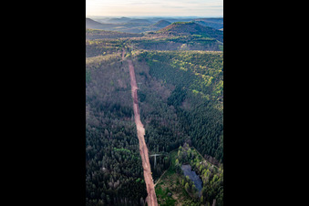 Vue aérienne de Un corridor à travers la forêt du Palatinat pour la reconstruction du tronçon de 51 km du gazoduc transeuropéen (TENP-III des Pays-Bas vers la Suisse) entre Mittelbrunn et Klingenmünster à Wilgartswiesen dans le département Rhénanie-Palatinat, Allemagne