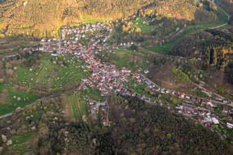 Vue aérienne de Du nord à Schwanheim dans le département Rhénanie-Palatinat, Allemagne
