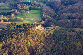 Vue aérienne de Haselstein à Oberschlettenbach dans le département Rhénanie-Palatinat, Allemagne