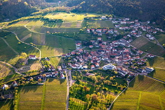 Vue aérienne de Terrasses du Palatinat méridional à le quartier Gleiszellen in Gleiszellen-Gleishorbach dans le département Rhénanie-Palatinat, Allemagne