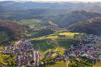Vue aérienne de Vignobles entre Gleishorbach et Gleiszellen à le quartier Gleishorbach in Gleiszellen-Gleishorbach dans le département Rhénanie-Palatinat, Allemagne