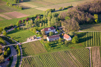 Vue aérienne de Mémorial du Palatinat pour les victimes de la psychiatrie nazie à l'hôpital palatin de psychiatrie et de neurologie « Landeck » à Klingenmünster dans le département Rhénanie-Palatinat, Allemagne