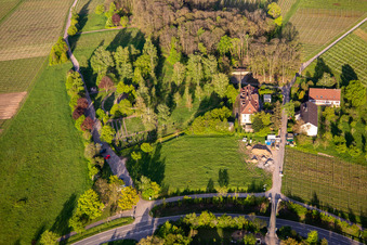 Vue aérienne de Cimetière hospitalier et mémorial du Palatinat pour les victimes de la psychiatrie nazie à l'hôpital palatin de psychiatrie et de neurologie « Landeck » à Göcklingen dans le département Rhénanie-Palatinat, Allemagne