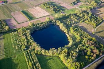 Vue aérienne de Étang biotope ancienne carrière d'argile à Göcklingen dans le département Rhénanie-Palatinat, Allemagne