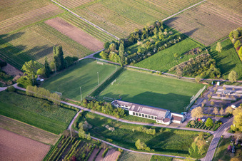 Vue aérienne de Terrain de football à Göcklingen dans le département Rhénanie-Palatinat, Allemagne