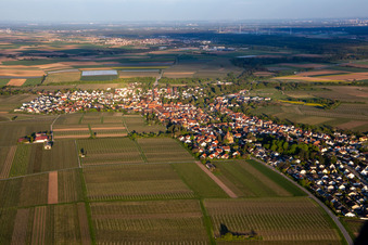 Vue aérienne de Du nord-ouest à Insheim dans le département Rhénanie-Palatinat, Allemagne