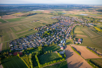 Vue aérienne de Du sud-ouest à Insheim dans le département Rhénanie-Palatinat, Allemagne