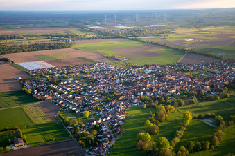 Vue aérienne de Du nord-est à Steinweiler dans le département Rhénanie-Palatinat, Allemagne