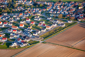 Vue aérienne de Chemin des tournesols à Kandel dans le département Rhénanie-Palatinat, Allemagne