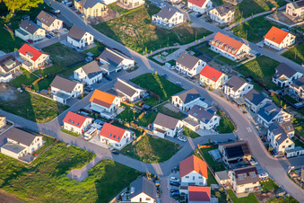Vue aérienne de Chemin des jonquilles et des violettes à Kandel dans le département Rhénanie-Palatinat, Allemagne