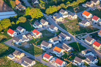Vue aérienne de Chemin des jonquilles et des violettes à Kandel dans le département Rhénanie-Palatinat, Allemagne