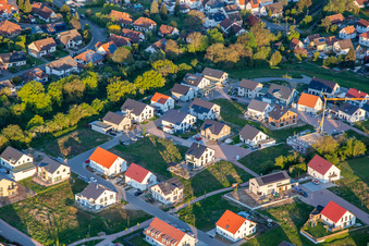 Vue aérienne de Sentier des roses et des tulipes à Kandel dans le département Rhénanie-Palatinat, Allemagne