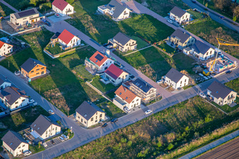 Vue aérienne de Chemin des tournesols et de la lavande à Kandel dans le département Rhénanie-Palatinat, Allemagne