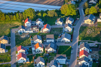 Vue oblique de Chemin des jonquilles et des violettes à Kandel dans le département Rhénanie-Palatinat, Allemagne