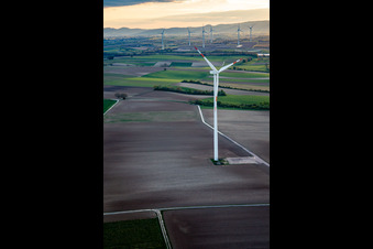 Vue oblique de Parc éolien Minfeld à Minfeld dans le département Rhénanie-Palatinat, Allemagne