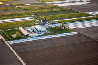 Jardin du fermier à Winden dans le département Rhénanie-Palatinat, Allemagne depuis l'avion