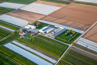 Enregistrement par drone de Jardin du fermier à Winden dans le département Rhénanie-Palatinat, Allemagne