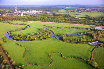 Vue aérienne de Prairies inondables de la Sarre, lieu d'alimentation des cigognes de Saaralbe à Willerwald dans le département Moselle, France