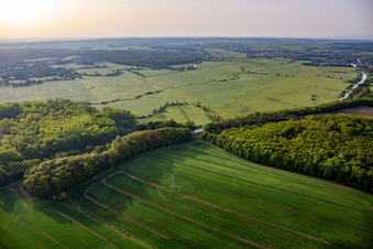 Vue aérienne de Prairies à Mittlachgraben le matin à Harskirchen dans le département Bas Rhin, France