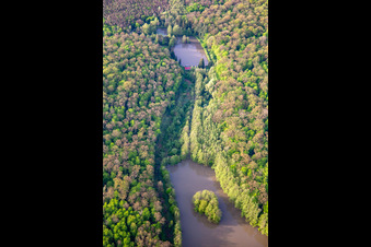 Vue aérienne de Gros Schwarzweiher à Niederstinzel dans le département Moselle, France