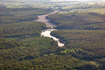 Vue aérienne de Étang commun dans la forêt à Fénétrange dans le département Moselle, France