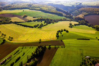 Vue aérienne de Prairies fraîchement fauchées avec des rangées de foin à Petit-Réderching dans le département Moselle, France