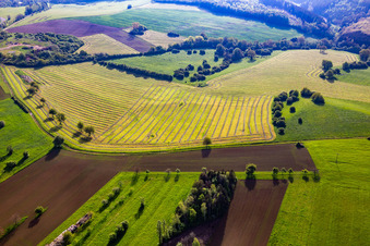 Vue aérienne de Prairies fraîchement fauchées avec des rangées de foin à Petit-Réderching dans le département Moselle, France