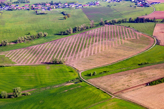 Vue aérienne de Modèles de culture sur le terrain à Bettviller dans le département Moselle, France