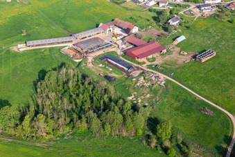 Vue aérienne de Rue de la Ferme à Bettviller dans le département Moselle, France