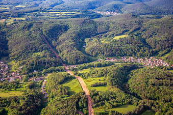 Vue aérienne de Un corridor à travers la forêt du Palatinat pour la reconstruction du tronçon de 51 km du gazoduc transeuropéen (TENP-III des Pays-Bas vers la Suisse) entre Mittelbrunn et Klingenmünster à Silz dans le département Rhénanie-Palatinat, Allemagne