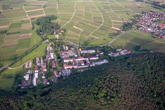 Vue d'oiseau de Clinique du Palatinat à Landeck à Klingenmünster dans le département Rhénanie-Palatinat, Allemagne