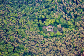 Vue aérienne de Ruines de Waldschlössel à Klingenmünster dans le département Rhénanie-Palatinat, Allemagne