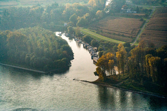 Vue aérienne de Embouchure du Lauter dans le Rhin à Neuburg am Rhein dans le département Rhénanie-Palatinat, Allemagne