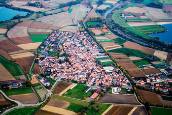 Vue aérienne de Ville vue de l'ouest à Neupotz dans le département Rhénanie-Palatinat, Allemagne
