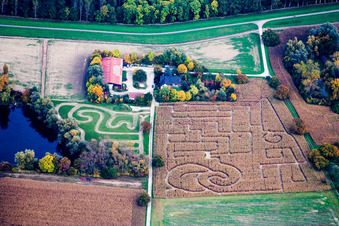 Vue aérienne de Labyrinthe de maïs Seehof à Leimersheim dans le département Rhénanie-Palatinat, Allemagne