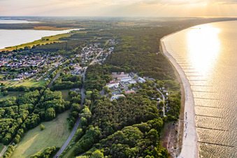 Vue aérienne de Sentier des mouettes au bord de la mer Baltique à Zempin dans le département Mecklembourg-Poméranie occidentale, Allemagne