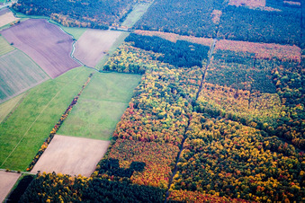 Vue aérienne de Lochwassergraben à le quartier Weiher in Ubstadt-Weiher dans le département Bade-Wurtemberg, Allemagne