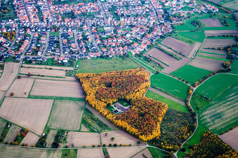Vue aérienne de Réseaux d'eau à le quartier Weiher in Ubstadt-Weiher dans le département Bade-Wurtemberg, Allemagne