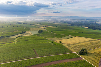 Vue aérienne de Nuages bas au-dessus des champs à cause des vents à le quartier Ingenheim in Billigheim-Ingenheim dans le département Rhénanie-Palatinat, Allemagne